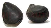 Shaligram 10760 20gm